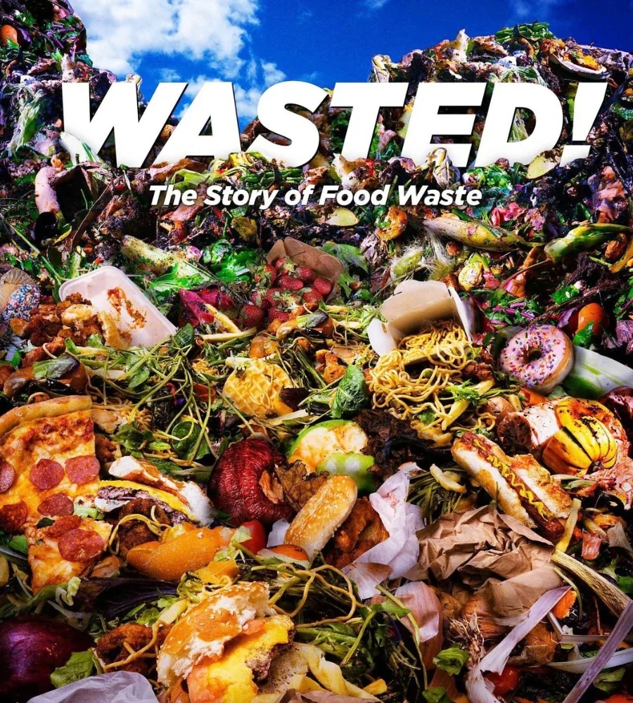 Wasted! The Story of Food Waste documentary artwork